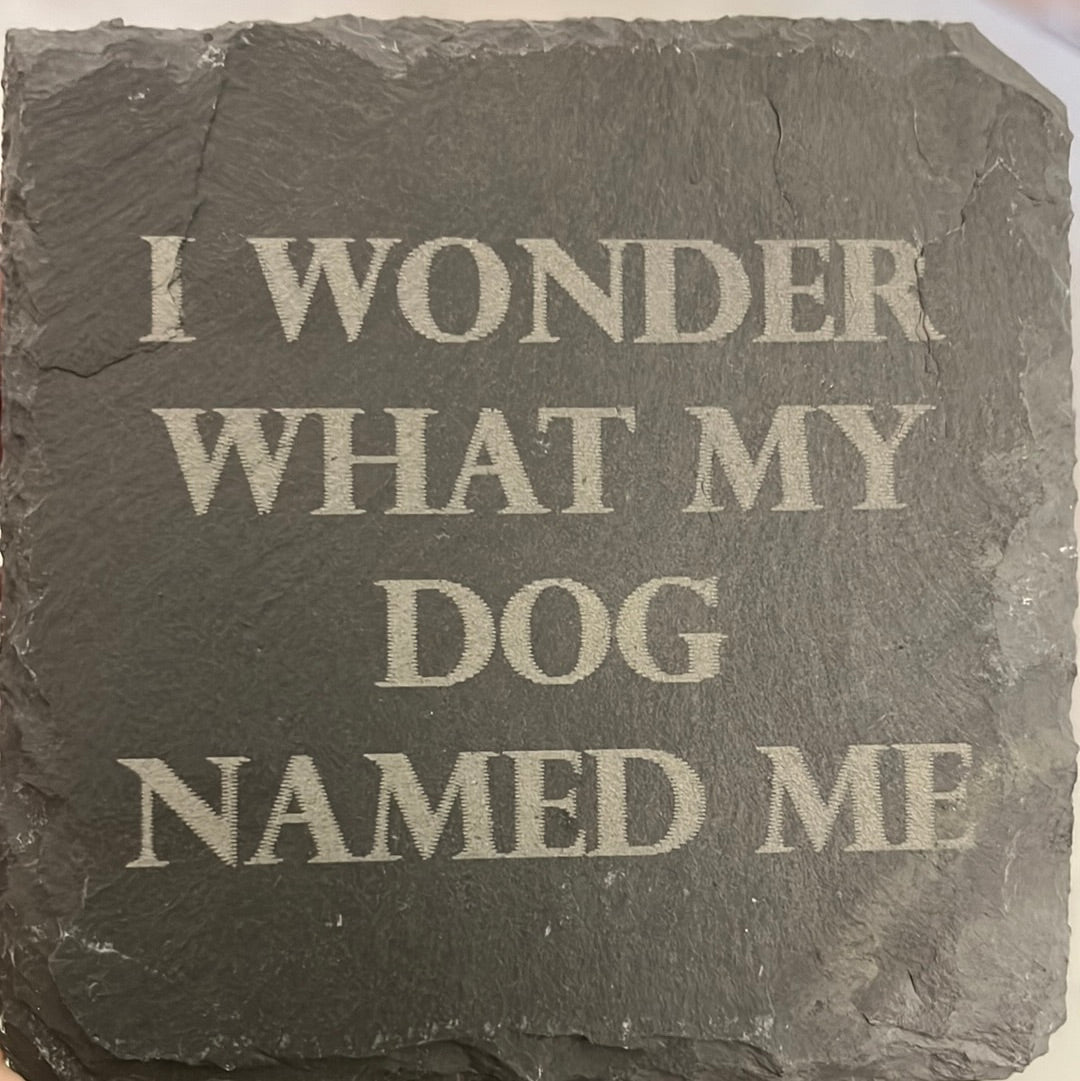 I WONDER WHAT MY DOG NAMED ME