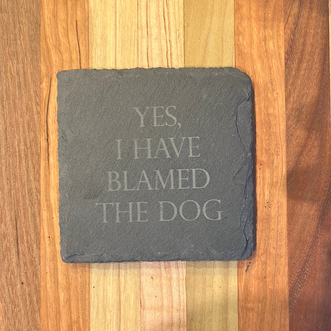 YES I HAVE BLAMED THE DOG