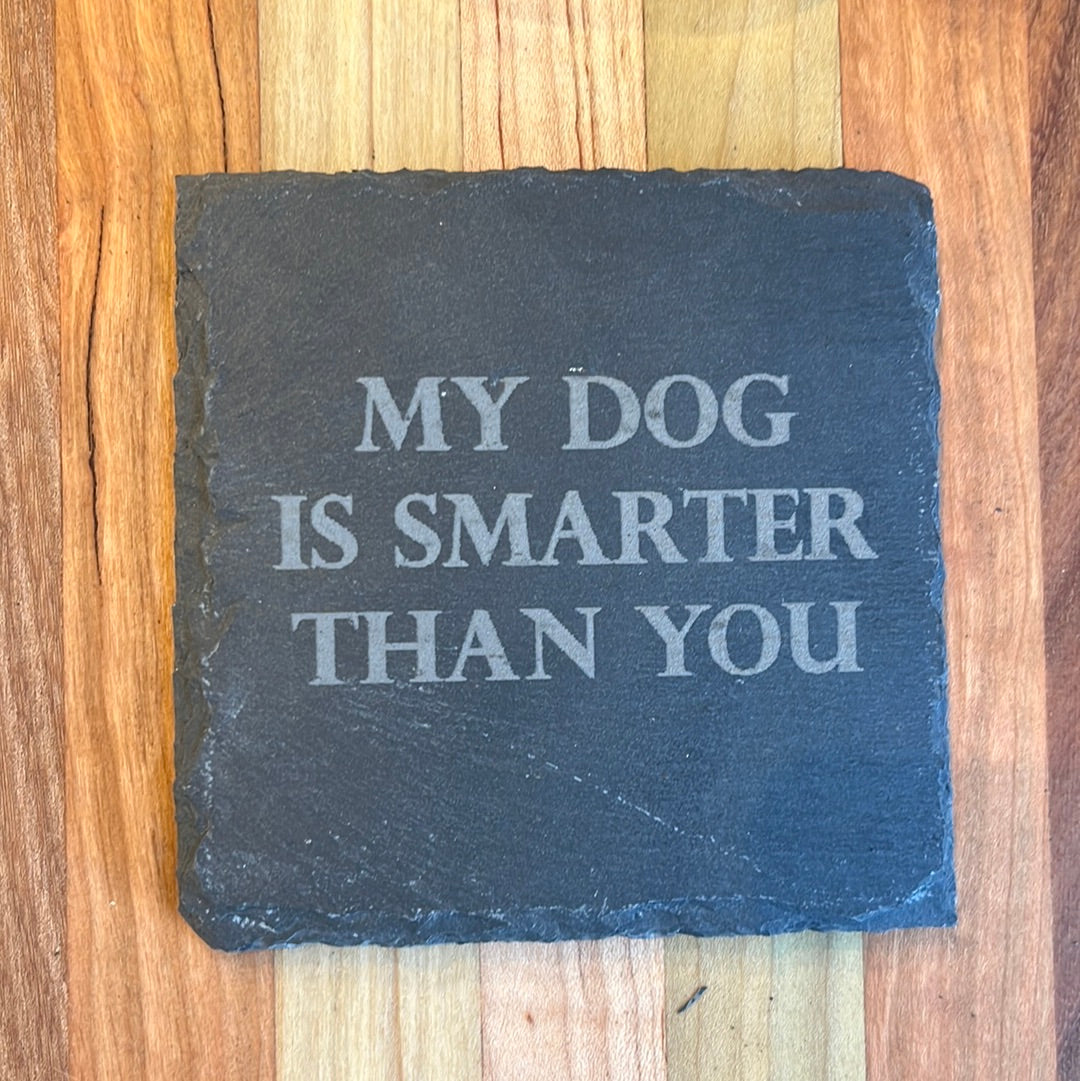 MY DOG IS SMARTER THAN YOU
